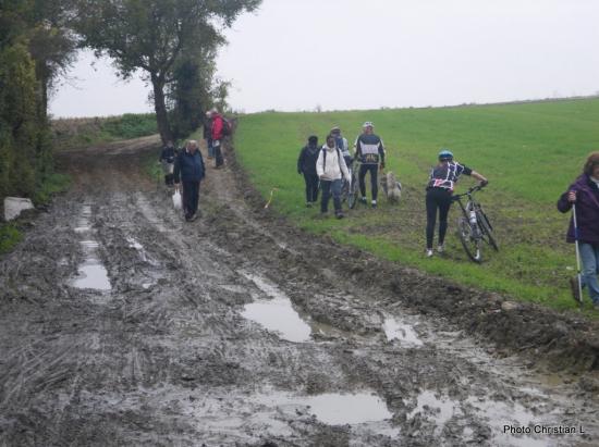 Rando Frépillon Dimanche 17 novembre 2013