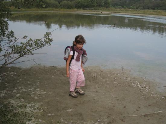 Sortie au Parc du Marquenterre