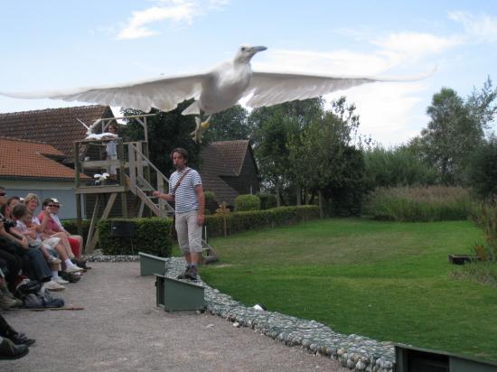 Maison de l'Oiseau en Baie de Somme