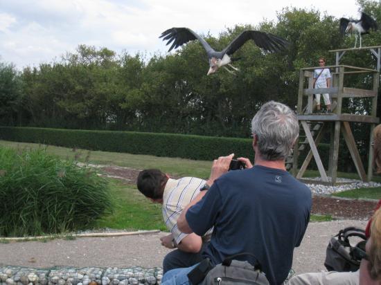Maison de l'Oiseau en Baie de Somme