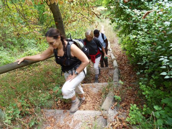 Courdimanche-Boisemont-Vauréal- 30 août 09