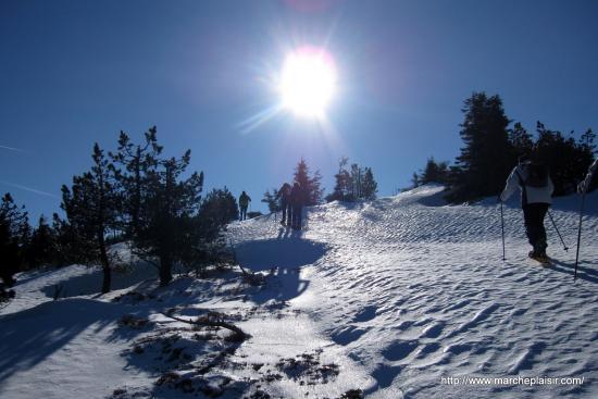 Versant Nord du Mont Alambre