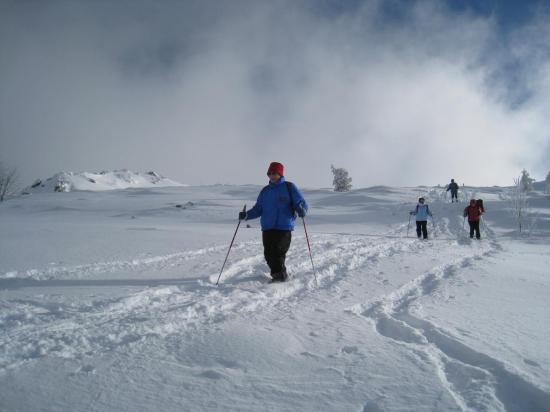 Dimanche 31 janvier2010