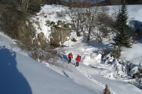 Dimanche 31 janvier2010