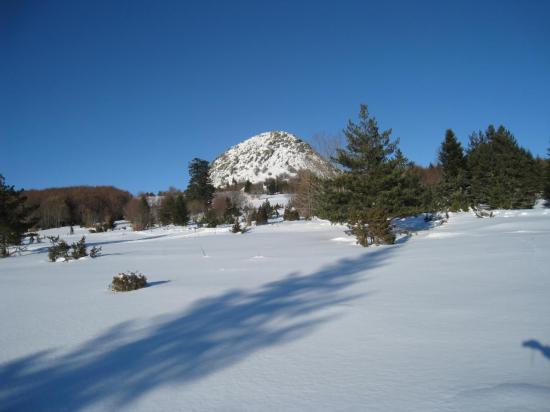 Mont Gerbier de Jonc