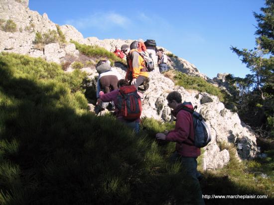 Grimpette aux Roches des Cuzets
