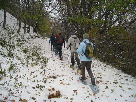La neige en automne