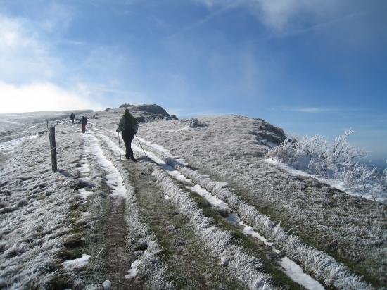 Vers le Plateau d'Ambel ( Vercors)