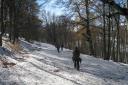 Neige en automne dans le Vercors