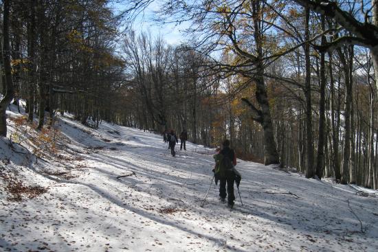 Neige en automne dans le Vercors