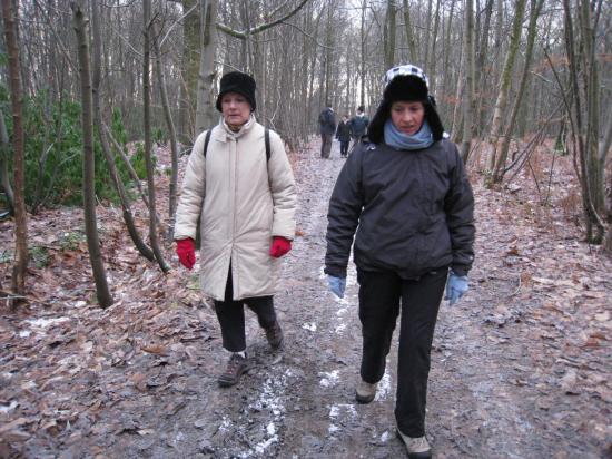 3 janv 2010