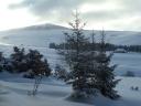 Dimanche 31 janvier2010