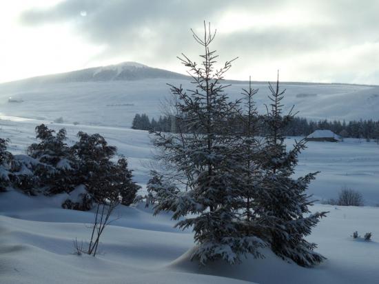 Dimanche 31 janvier2010