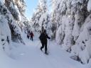 Lundi 1er février 2010
