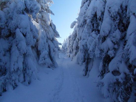Lundi 1er février 2010