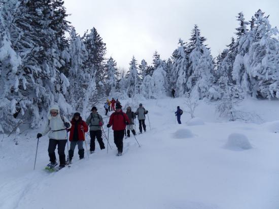 Sortie du jeudi 4 février 10
