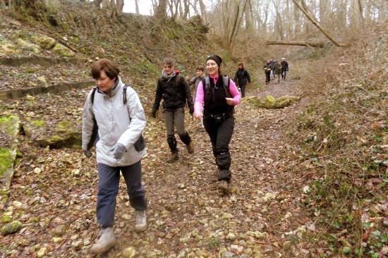 Rando Pontoise Campagne