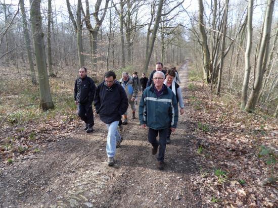 Forêt de Carnelle 5 avril 2010