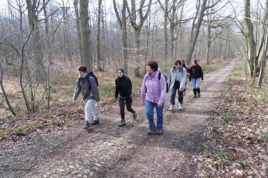 Forêt de Carnelle 5 avril 2010