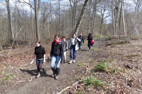 Forêt de Carnelle 5 avril 2010