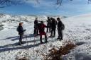 Sur le Plateau d'Ambel ( Vercors)