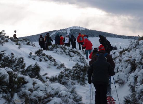 Vers le Mont Alambre