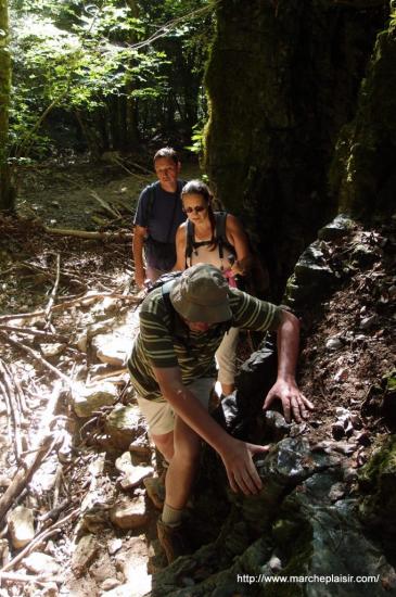 Francis, en aventurier