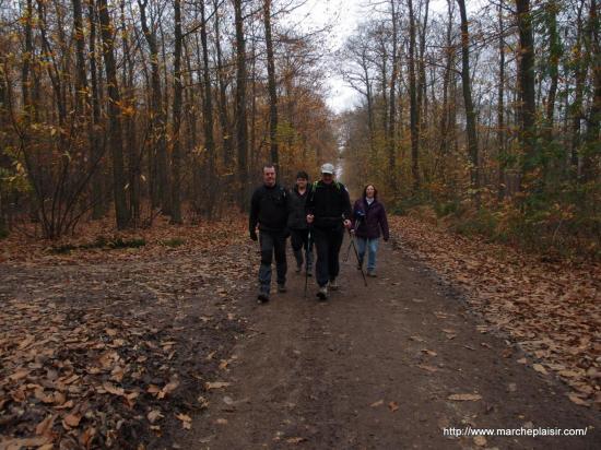 Randonnée Frépillon, dimanche 17 novembre 2013