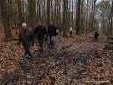 Randonnée Frépillon, dimanche 17 novembre 2013