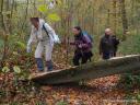 Randonnée en Forêt de Carnelle