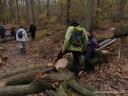 Randonnée en Forêt de Carnelle