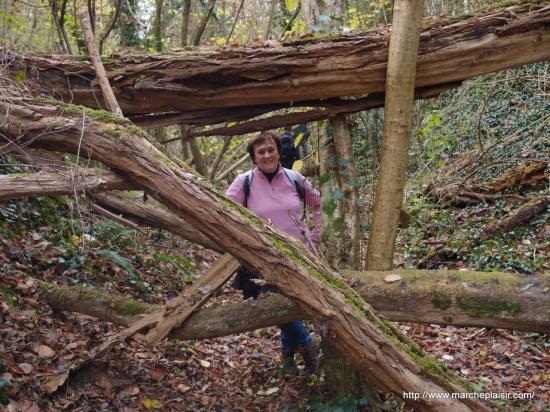 Maryvonne dans la ravine